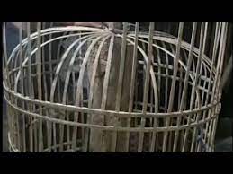 Warganya menjadi perajin sangkar ayam bekisar. Cara Membuat Kurungan Ayam Sederhana Dari Bambu Bekas Youtube