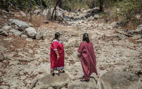 ecoComunitarismo | Red Latina sin fronteras