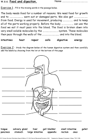 The last step is to compare the two. Ks3 Science Revision Worksheets Pdf Free Download