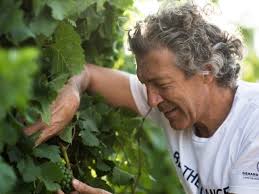 Drink podcast: The Drinking Hour with David Kermode