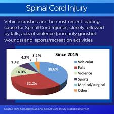 Spinal Cord Injury Statistics In 2020 Spinal Cord Injury Spinal Cord Spinal