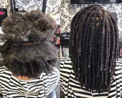 Permanent Loc Extensions Loc Extensions Human Hair Locs Hairstyles Hair Styles