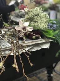 Hours may change under current circumstances Cali Wholesale 5858 Dryden Pl Carlsbad Ca Florists Mapquest