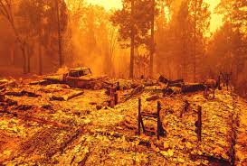Lately, it feels like we're hearing about wildfires erupting in the western united states more often. Western Fires Are Burning Higher In The Mountains At Unprecedented Rates Salon Com