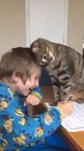 Good Luck Doing Your Homework With Images Cute Baby Animals Funny Animals Cute Funny Animals