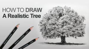 Check spelling or type a new query. How To Draw A Tree Realistic Youtube