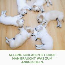 We did not find results for: Gute Nacht Spruche Machen Freude Finden Sie Hier 50 Ideen Mit Bilder