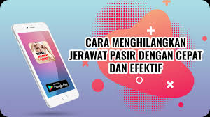 Liputan6.com, jakarta jerawat pasir biasa disebut dengan bruntusan. Cara Menghilangkan Jerawat Pasir Secara Alami For Android Apk Download