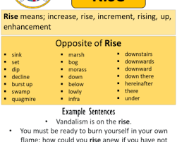 Most Important Opposite Words In English English Grammar Here In 2021 Opposite Words English Opposite Words English Words