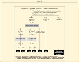We did not find results for: Gestational Trophoblastic Disease Basicmedical Key