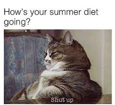 Youtube.com this picture fat cat epidemic 5 signs that your cat is obese catster is taken from : 20 Cat Memes Funnyfoto Animal Memes Clean Funny Animal Pictures Cat Memes