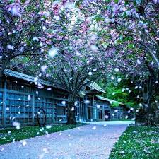 Here you can find the best beautiful wallpapers uploaded by our community. Wallpaper Depository Beautiful Wallpaper Spring