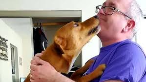 Fundraiser by Kevin Omalia : Riley's helping hand