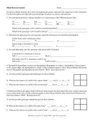 Spongebob genetics sheet answer link. Bikini Bottom Genetics Name The Science Spot