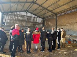 Ben McClymont (@Ben_McClymont)