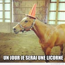 Résultat de recherche d'images pour "cheval drole gif"