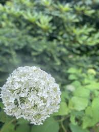 Profile for Thelma Moss