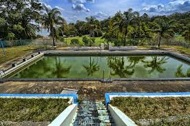 How To Restore A Pool That Has Been Unused For Years Aaa Pool Service
