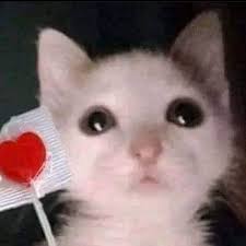 meeting an alt person and finding out they're suicide boys alt not early  2000s emo alt is heartbreaking fr