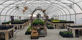 Our ankeny, iowa nursery and garden center offers everything from seeds to landscaping to patio furniture. Cedar River Garden Center Facebook