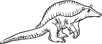 They are generally timid and spend most of their day sleeping. Armadillo Coloring Pages Best Coloring Pages For Kids