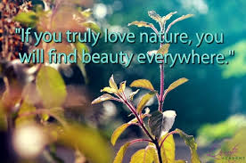 In that spirit, here are 101 quotes that celebrate the power of nature and will get you pumped for your. 35 Most Beautiful Quotes About Nature And Environment Beauty Mystic Quote