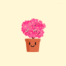 We provided chinese new year wishes gifs, chinese new year greetings gifs cards in one place.you'll be enjoy varity of. Lunar New Year Gif By Mclelun On Deviantart