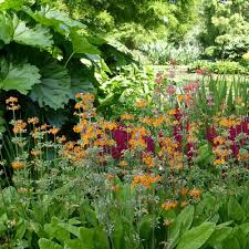 How deep should a bog garden be. How To Plant An Area With Moist Plants Or Muddy Plants