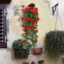 Escogiendo algunas plantas colgantes adecuadas y siguiendo. Rosa Artificial Flores Falsas Planta Colgante Pared Hogar Balcon Cesta Deco K4y1 Ebay