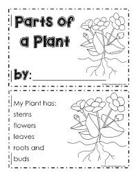 Apr 19, 2018 · parts of a flower activity pages i also use these activity pages to help students learn the parts of a flower and assess their understanding. My Parts Of A Plant Booklet Worksheets