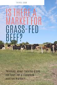 Is There A Market For Grass Fed Beef At A Livestock Auction In 2020 Grass Fed Beef Grass Livestock
