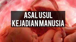 5 tahun ago aef nandi setiawan. Asal Usul Kejadian Manusia Youtube