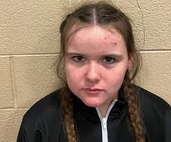 Meet the Bay City area wrestlers competing in the girls individual state  finals