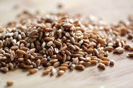 Cooked Spelt Berries - Heal N Cure