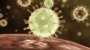 Waktu sekarang yang tepat, zona waktu, perbedaan waktu, waktu matahari terbit / matahari tenggelam, dan fakta kunci untuk sungai petani, malaysia. Pesakit Koronavirus 2019 Ncov Tiba Di Hospital Sultan Abdul Halim Sungai Petani Sebenarnya My