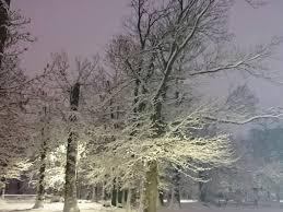 Ne ratez rien du temps qu'il va faire. Meteo France Sainte Genevieve Des Bois 91700 Stade Toulon Bon Rencontre