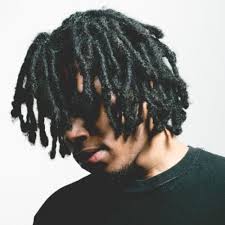 Here is a protective hairstyle that expertly combines color and texture. 55 Awesome Hairstyles For Black Men Video Men Hairstyles World