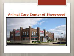 Western ave chicago, il 60608. Practice Acquisition Start Up Financing Ppt Download