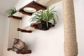 Pin On Pet Ideas