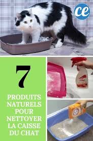 7 Produits Completement Naturels Pour Nettoyer La Litiere Du Chat En 2020 Caisse Chat Caisse Litiere Chat Chat