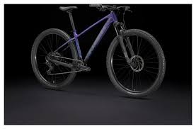 Image result for Viola Malva 1998 Motorcycle