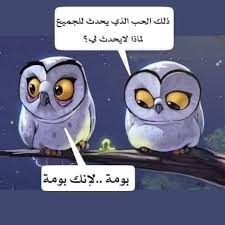Pin By Mwasem Alzzahr On Owl Owl Funny Arabic Quotes Funny Pictures Owl