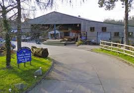 Clipped razor straight or grown in amorphous lumps yew is a good shelter belt tree, tolerating exposure, poor light, pollution, and any aspect. The Garden Furniture Centre At Yew Tree Farm Yew Tree Farm Shopping Village Facebook