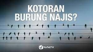 Ada yang najis, kotor dan dosa besar dalam hidup anda. Apakah Kotoran Burung Itu Najis Youtube