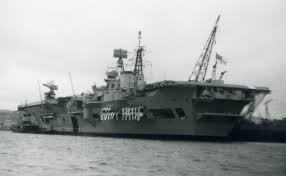 Image result for Gray 1971 Fleet