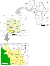 Image result for Cnestis