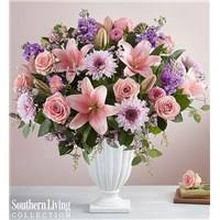 Maybe you would like to learn more about one of these? Sympathy For The Home Gifts Flowers Phoenix Az Same Day Same Day Flower Delivery Delivery