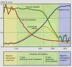 La teoría de la transición demográfica se enfoca en el estudio de la forma en la que las tasas de natalidad y de mortalidad afectan la población total de los países. Blog De Historia Del Mundo Contemporaneo La Transicion Demografica Del Ciclo Demografico Antiguo Al Moderno