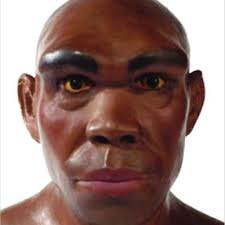 PDF) A Grande Caminhada