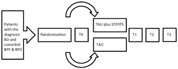 Flow Chart Study 2 Bd Bipolar Disorder Bpf Borderline